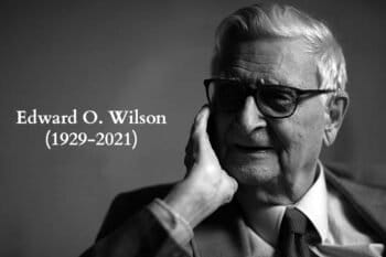 Courtesy of the E.O. Wilson Biodiversity Foundation