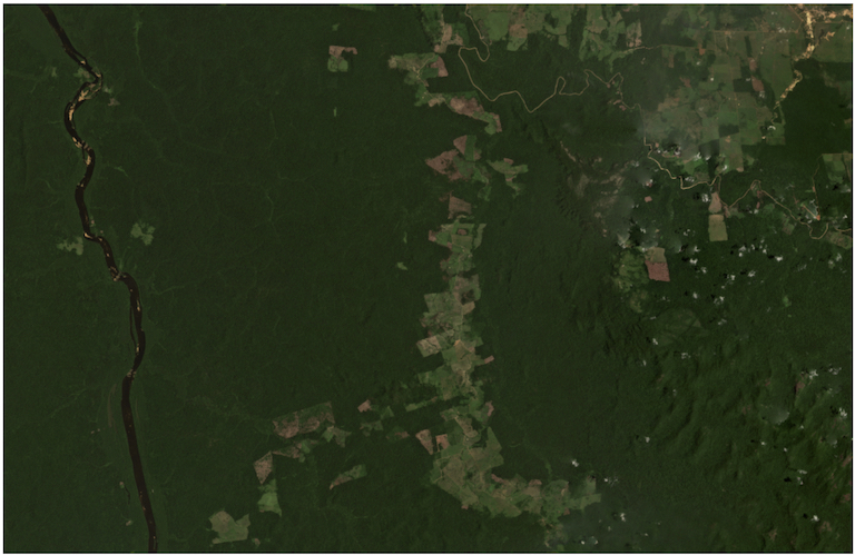 Satellite imagery from Planet Labs captured October 2021 show the recent expansion of clearings into the surrounding forest of Terra do Meio Ecological Station.