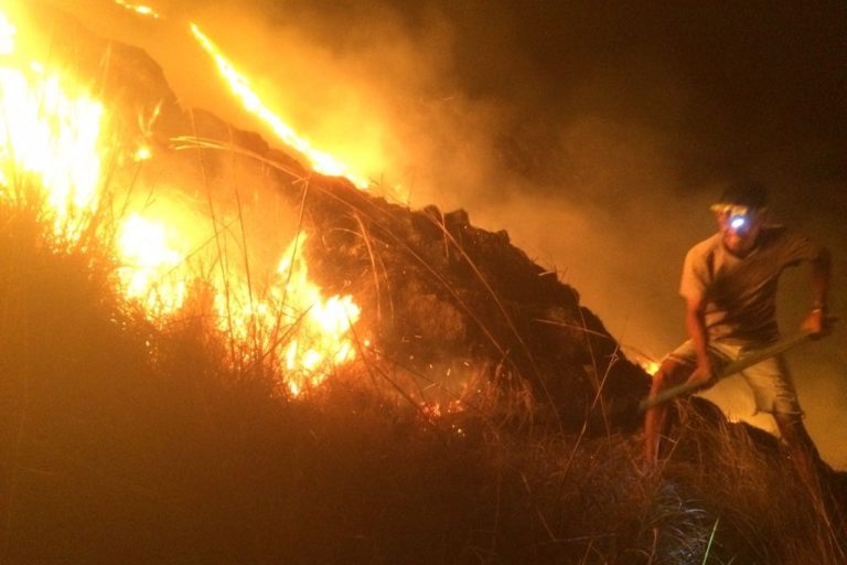 In Borneo, the 'Power of Mama' fight Indonesia's wildfires with all-woman  crew