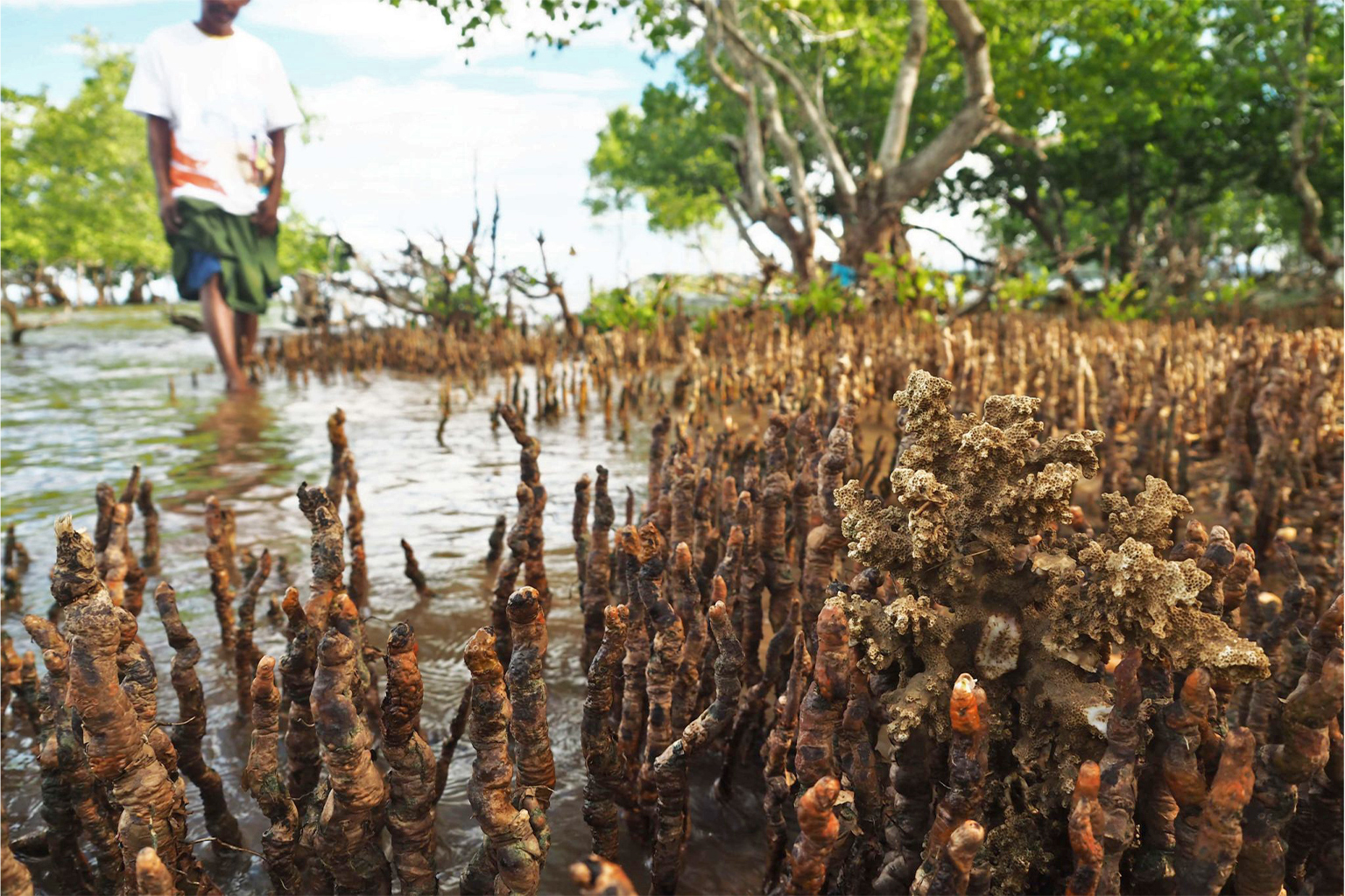 HOW I COME TO INDONESIA FISHING WITH AN FISHING ROD- MY STORY OF