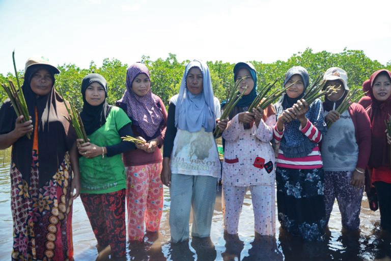 Womangrove-women-mangrove-Sulawesi-Indonesia-2