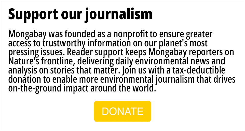 support our journalism