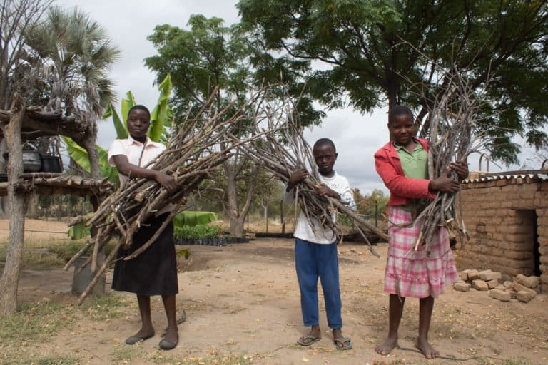 Rural children in Zimbabwe collecting wood