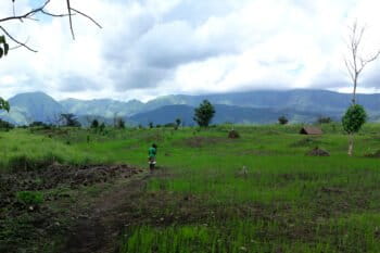Solitary figure in a partly cultivated field, Nimba mountain range in the background. Image by Maarten van der Bent via Flickr CC BY-SA-2.0