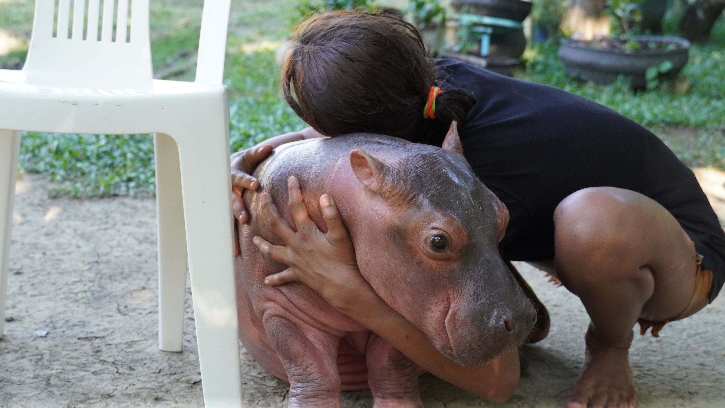 How to Prepare Your Home for Power Outages - Hippo