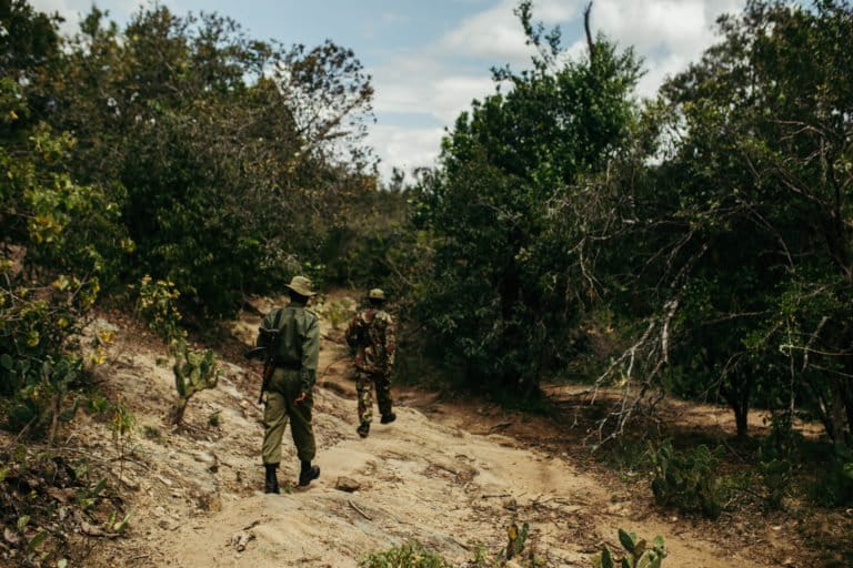 Kenya forest service