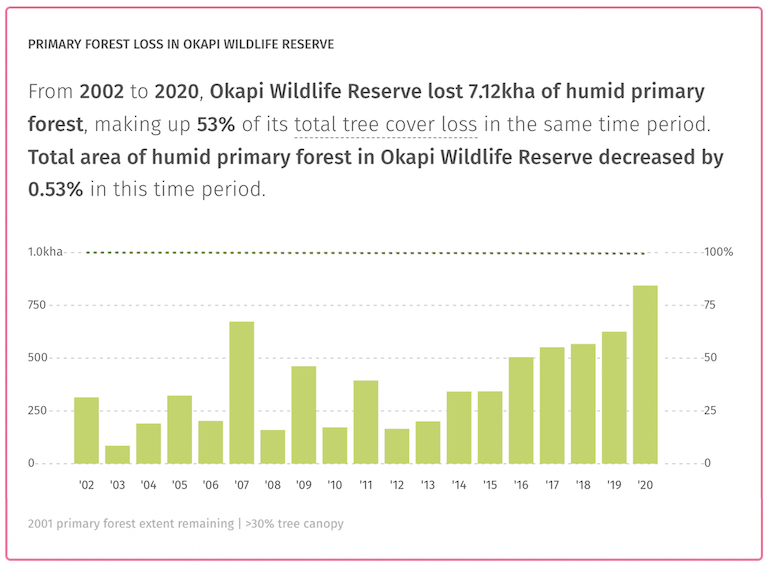 Image from Global Forest Watch.