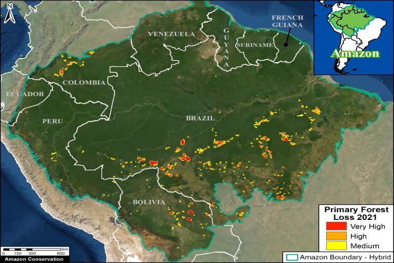 2021  deforestation map shows devastating impact of ranching,  agriculture