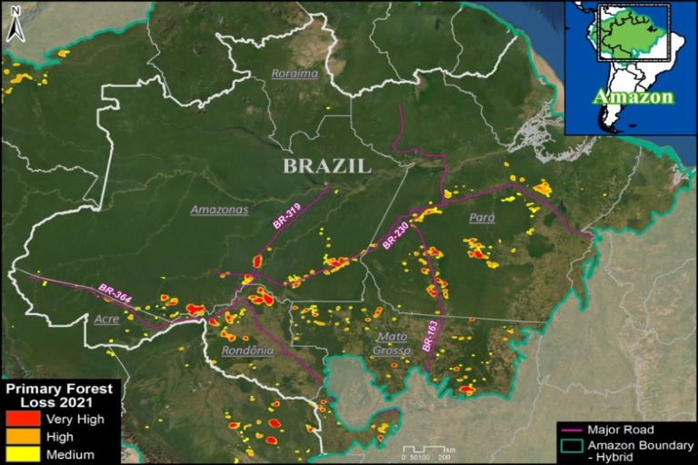 2021 Amazon deforestation map shows devastating impact of ranching