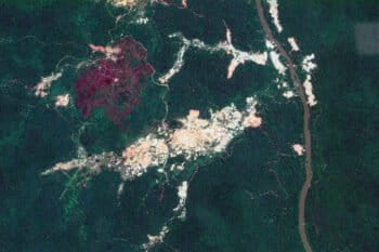 Gold mining in the Kayapó Indigenous Territory in 2022. Image credit: NASA