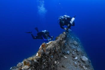 Bikini Atoll coral diversity