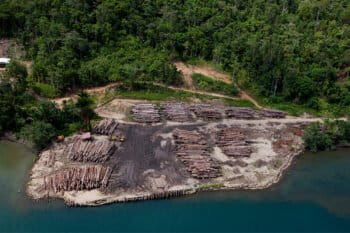 Logging Camp on Fergusson Island, PNG.
