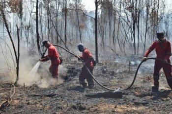 Fire fighters putting out forest fire in Riau, Indonesia.