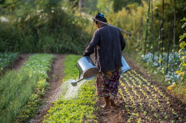 A vegetable grower using agroecological methods in Boung Phao Village, Lao PDR. Photo: Asian Development Bank, licensed under CC BY-NC-ND 2.0.