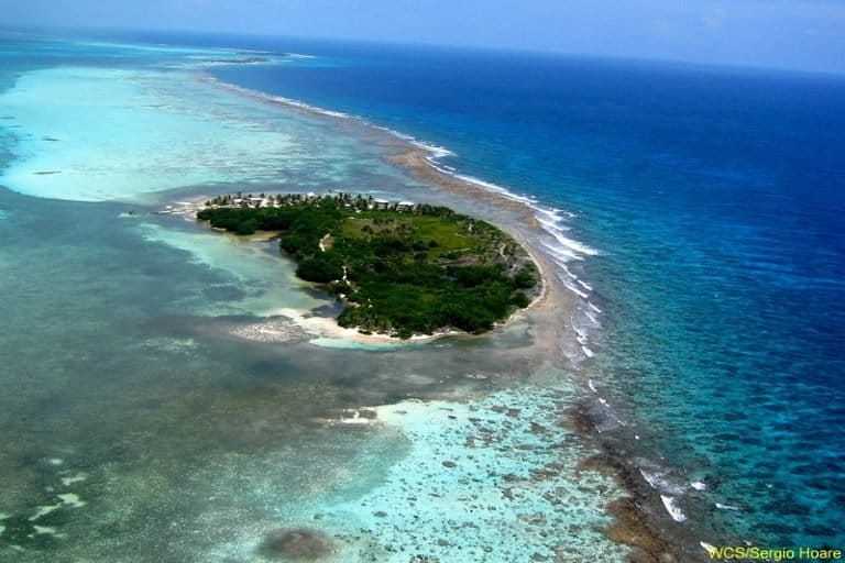 The tools for hand-line fishing. We caught 21 fish and had several for  dinner that evening. - Picture of Glovers Reef Basecamp, Glovers Reef Atoll  - Tripadvisor