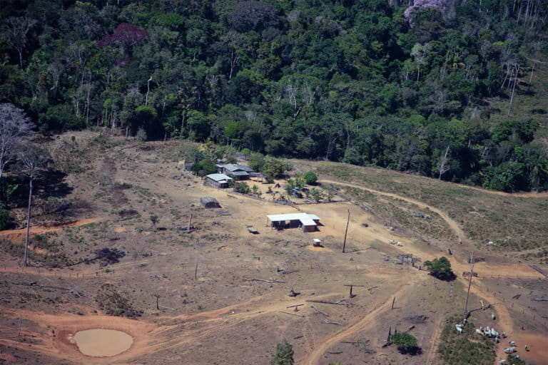 Aerial image shows the deforestation inside the Piripkura Indigenous Territory in Mato Grosso state. Instituto Socioambiental (ISA), a nonprofit that advocates for the rights of Indigenous and traditional peoples, also found evidence of cattle ranching within these protected lands.