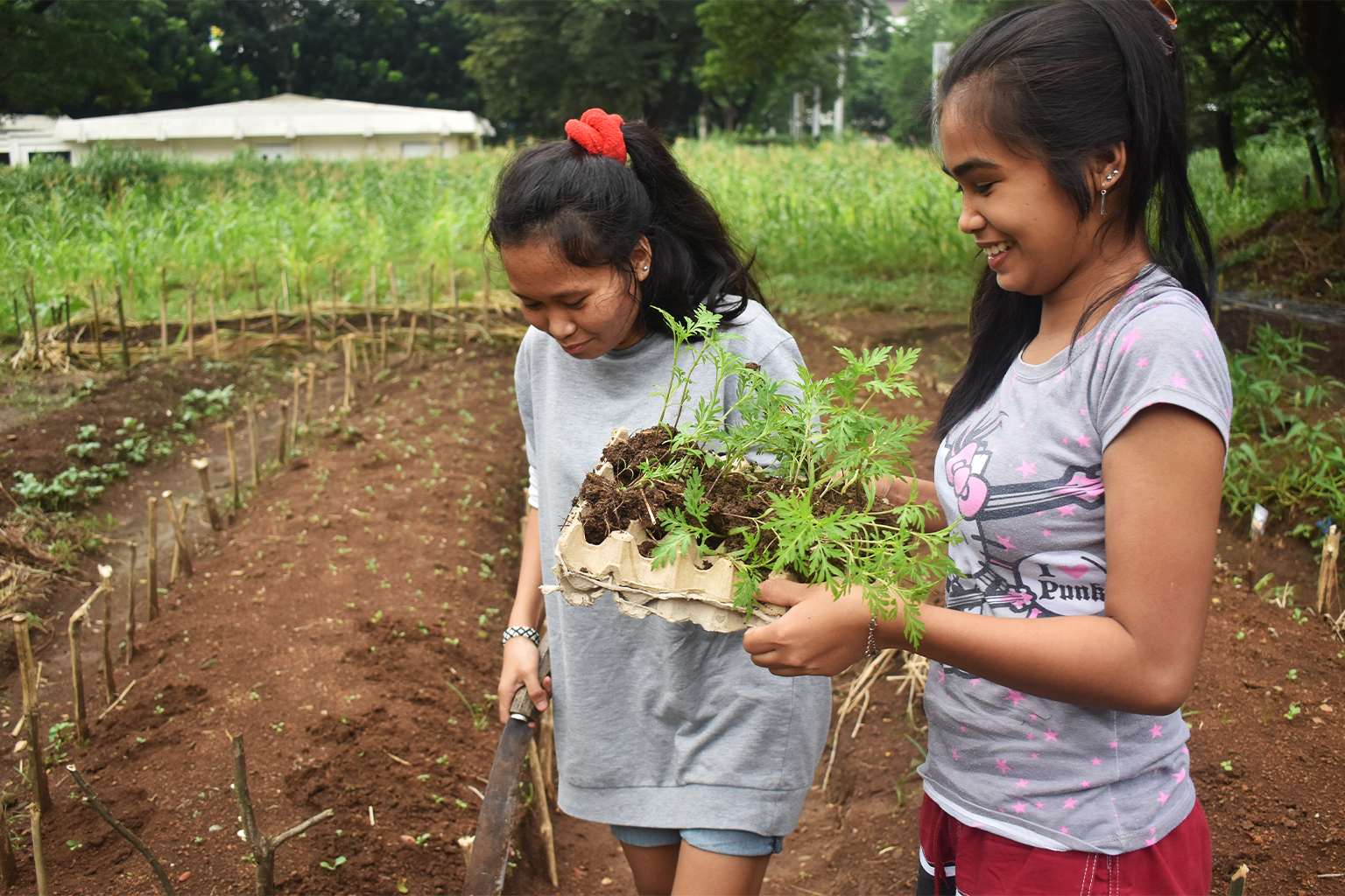 Two women planting from the Sabokahan Unity of Lumad Women in the Philippines.