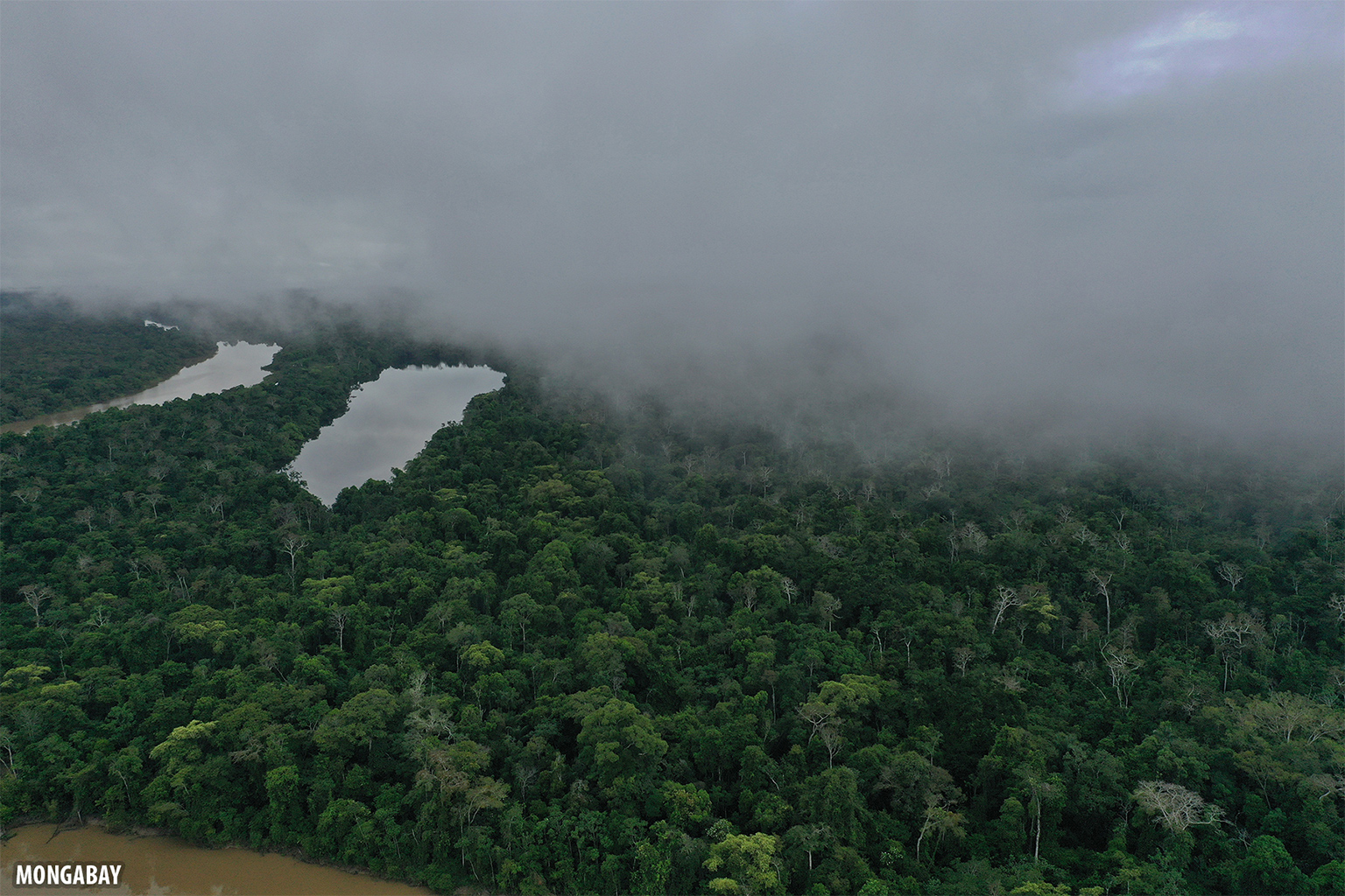 Mist rising from the Amazon rainforest in Peru.