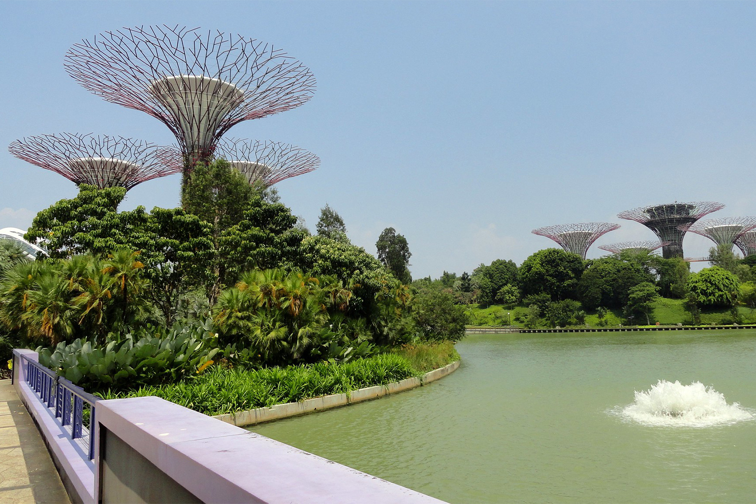 Singapore is renowned for its abundance of urban green space, which research suggests can improve human health and wellbeing. 