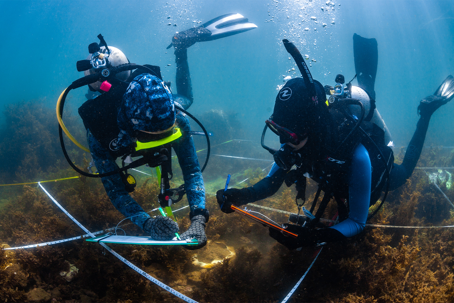 Divers survey reefs at Magnetic Island near Queenstown, Australia after a 2020 bleaching event.