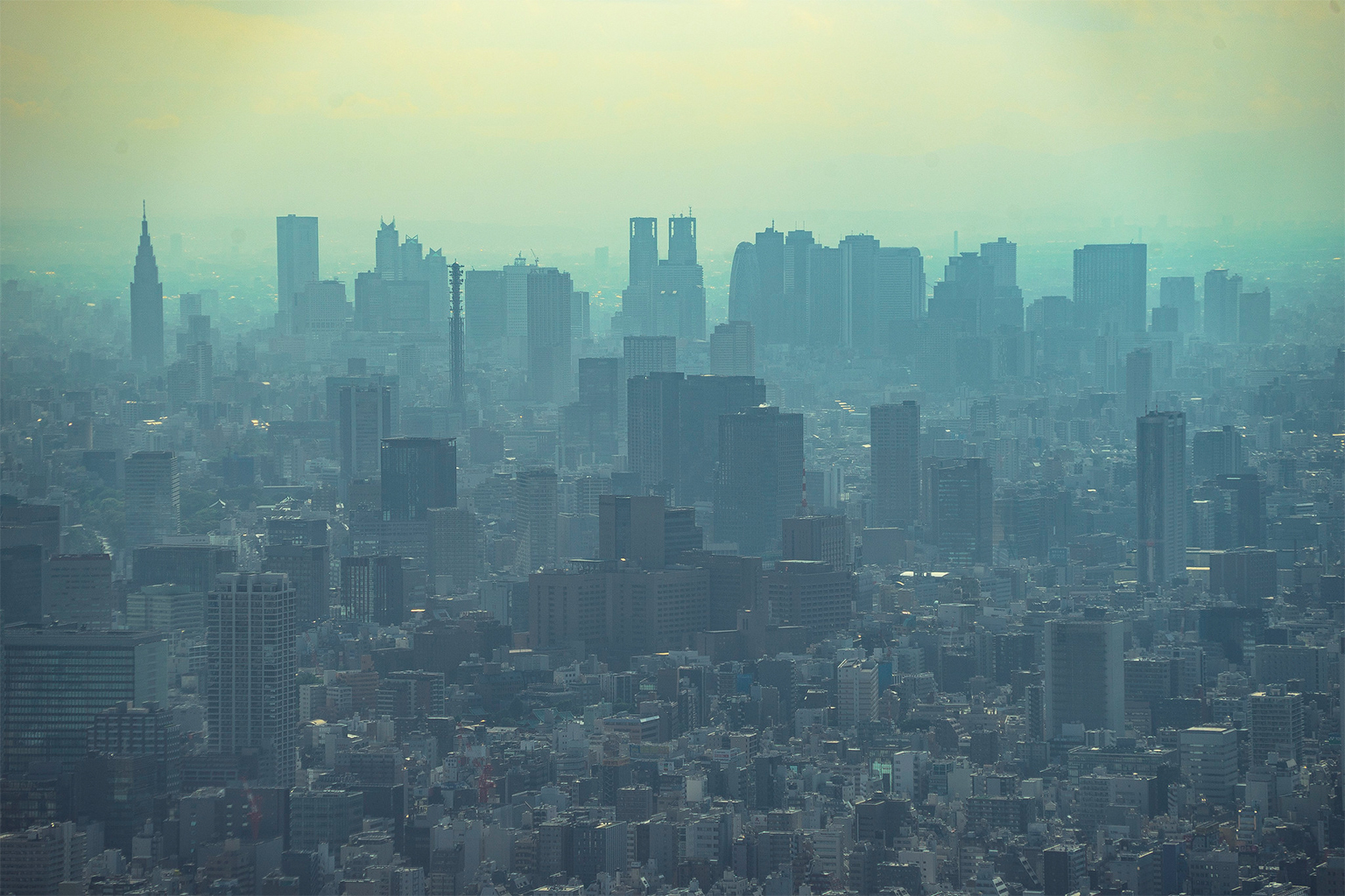 Numerous studies have linked reduced exposure to environmental microbes in cities to an increased risk of the chronic and autoimmune diseases that are proliferating in urban environments, particularly in industrialized nations. 