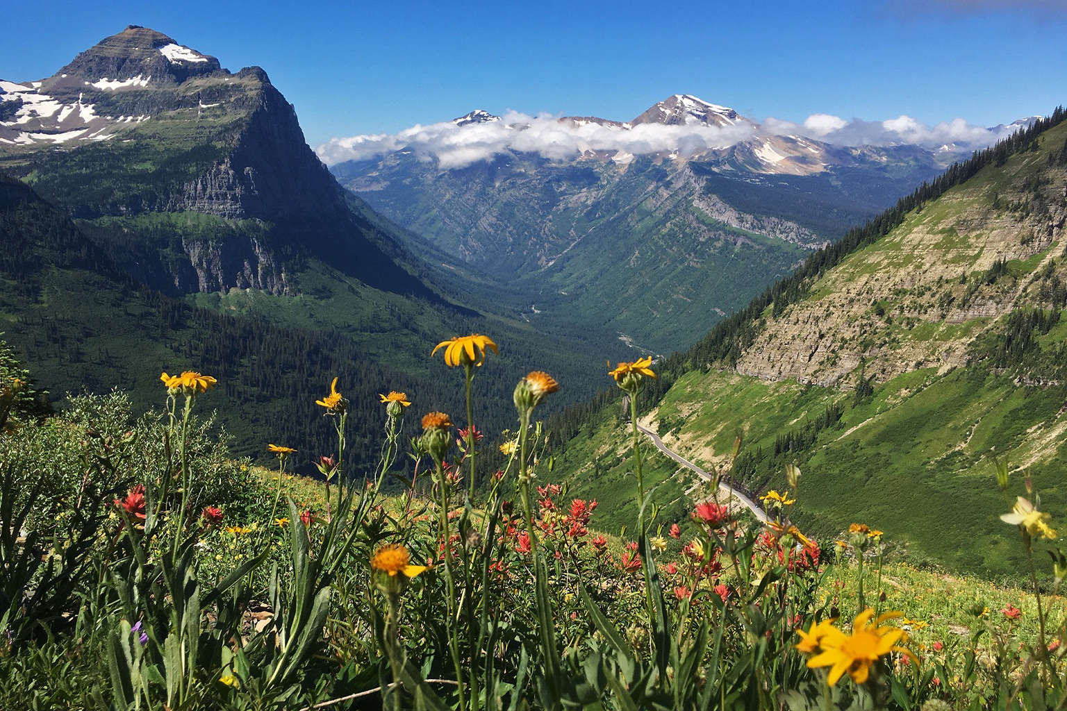 Scientists have found that peoples’ exposure to biodiverse green spaces also exposes them to environmental microbe diversity.