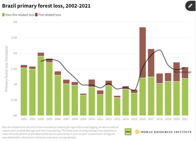 Tropical Forest Size Of Football Pitch, Lost Every 5 Second, Says