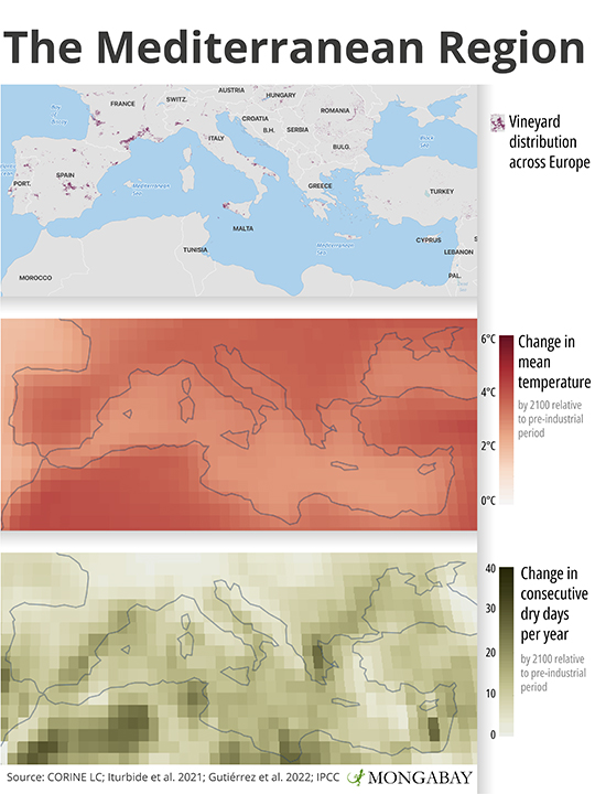 Some scientists say that at least parts of the Mediterranean region may become “uninhabitable” for humans some time this century. 