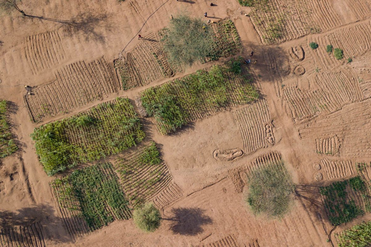 Land restoration requires immediate action and Indigenous land rights, says U.N. report