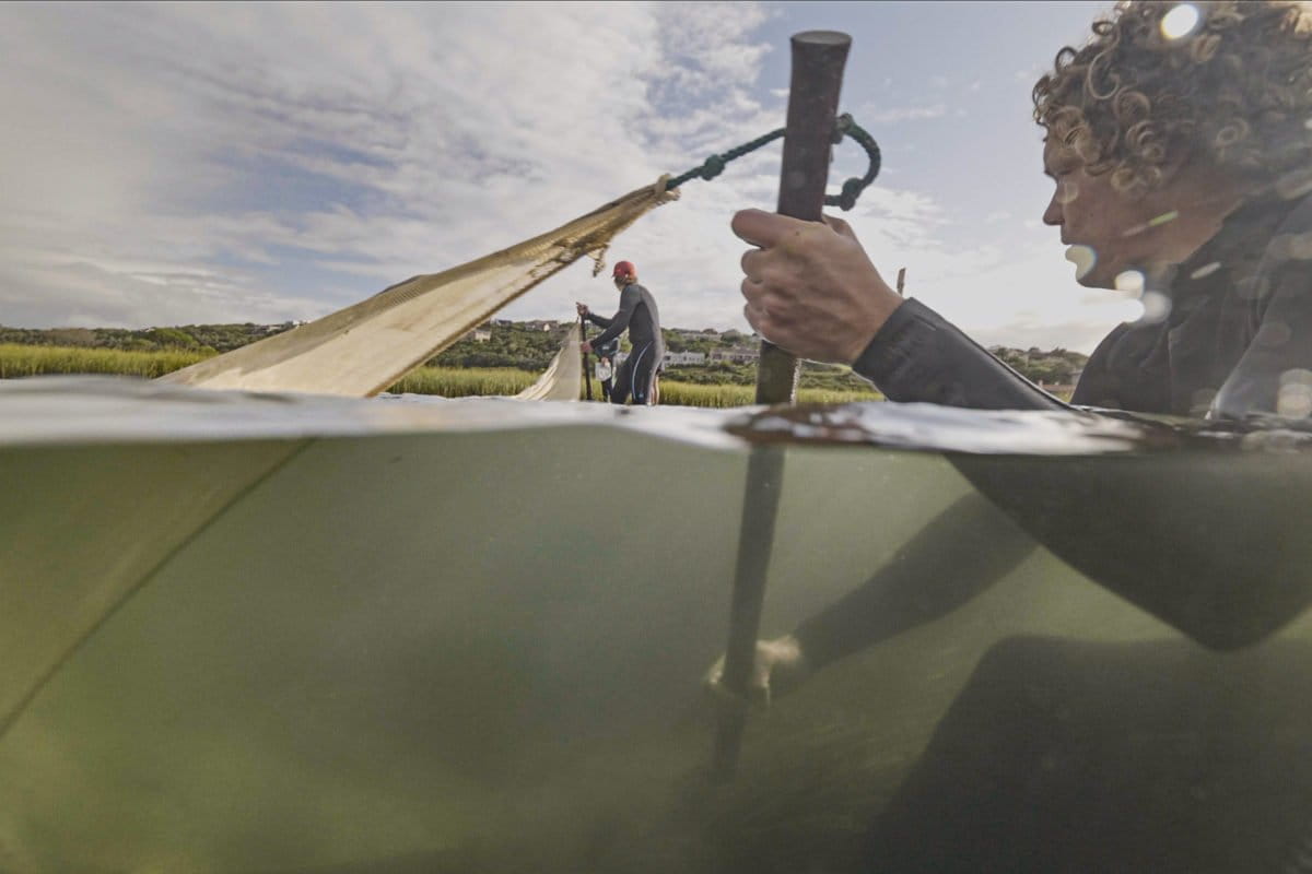 Two researchers pulling seine net through estuarine waters searching for pipefish. Image courtesy of Jason Boswell.