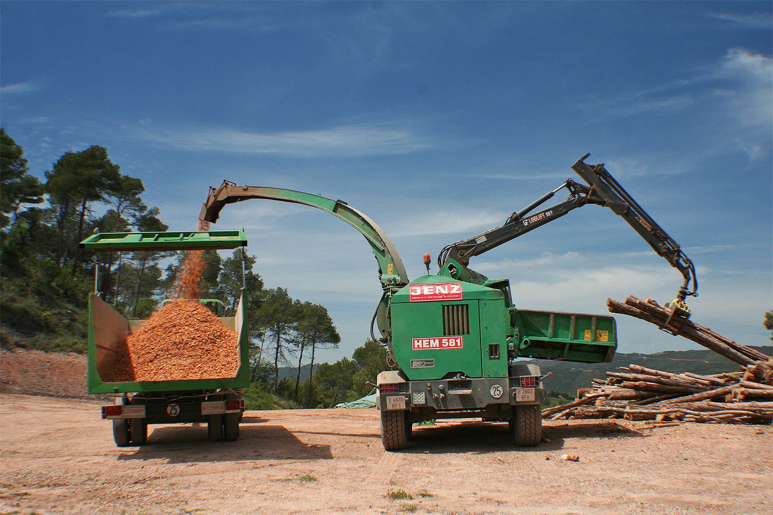 Wood pellet production from logged trees in Spain.