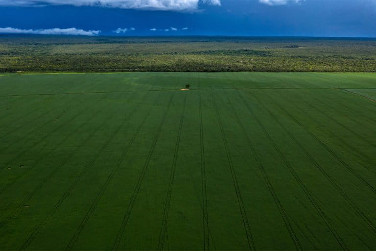 A soy field advances over the Pimentel Barbosa Indigenous reservation in Canarana, Mato Grosso.