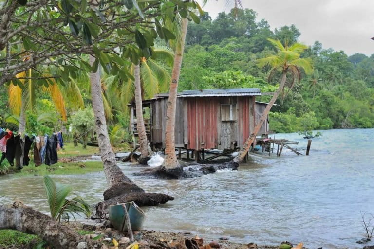 Sea level rise and storms threaten the palm-fringed shores of a village on Marovo Lagoon, Solomon Islands, 2010. Photo courtesy of Edvard Hviding.