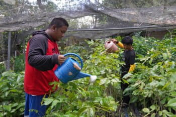 Young people at Macatumbalen are trained by their parents to co-manage the community nursery where the tree seedlings are grown and regularly watered.