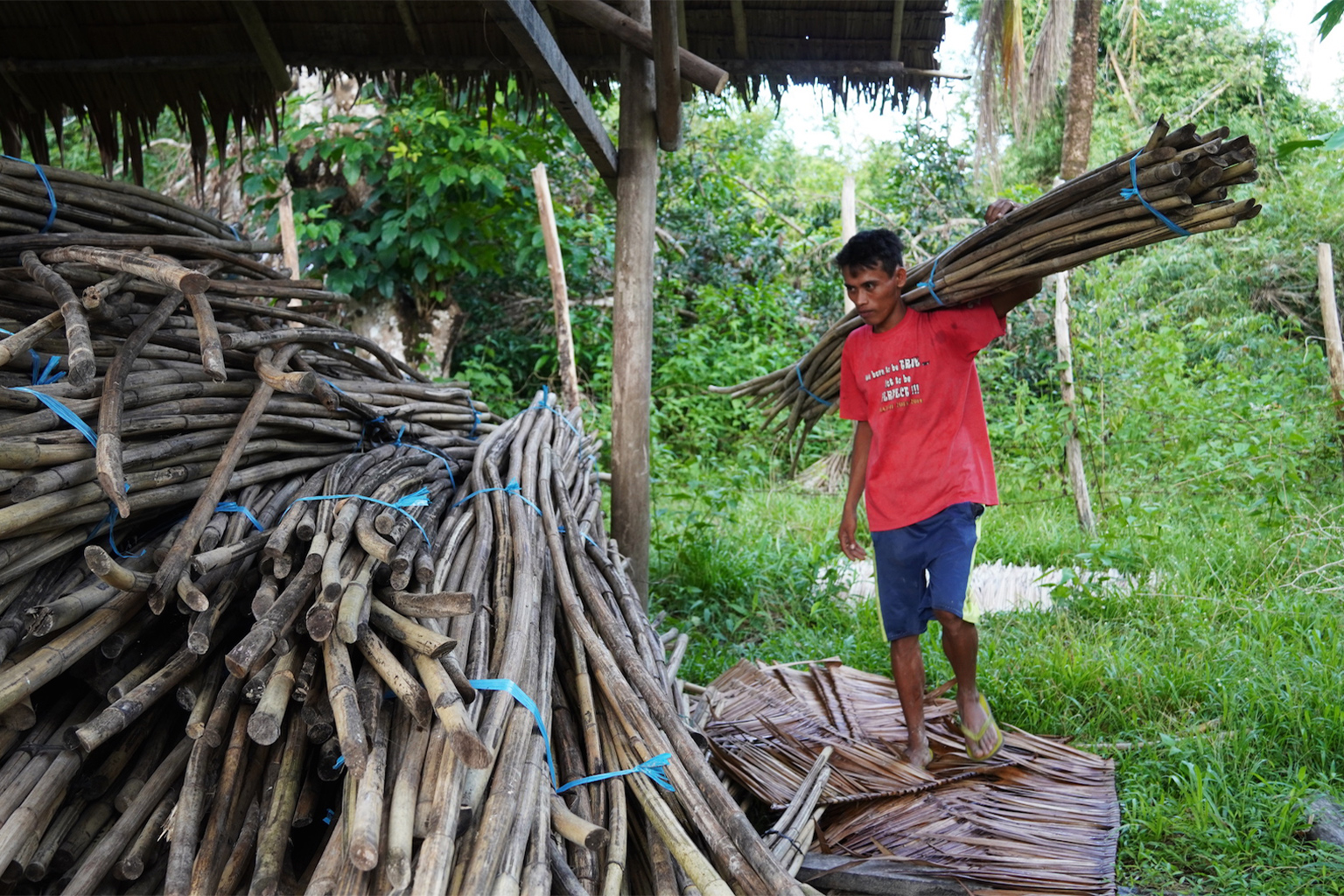 A young man carries a bundle of rattan on his shoulder; for each pole collected from Macatumbalen's forest, he earns 5 to 12 pesos ($0.09 to $0.23) to support his family.