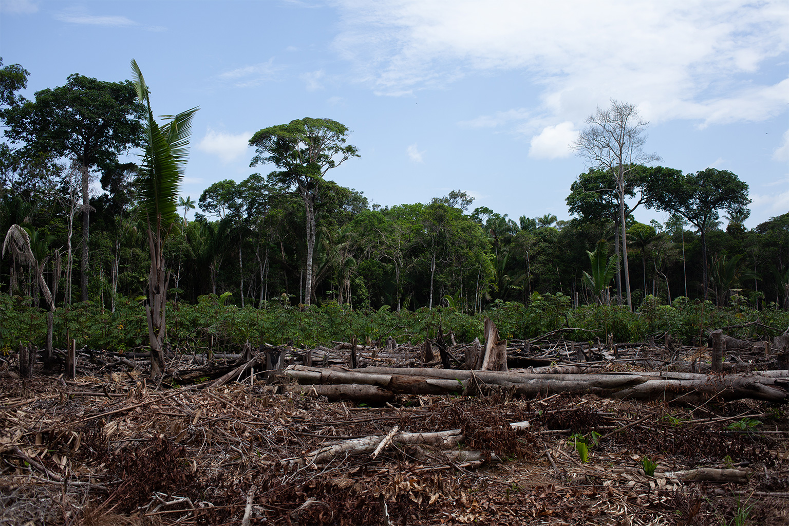 Push For Potash Mine In Brazil's Amazon Looms Over Indigenous People