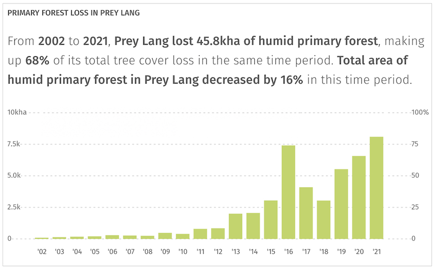 Satellite data from the University of Maryland visualized on Global Forest Watch show Prey Lang lost more primary forest in 2021 than in any other year since measurement began in 2002. 