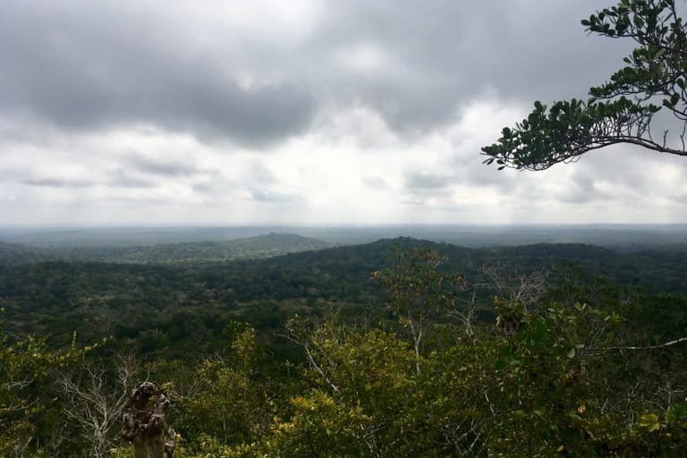 The view of part of the Selva Maya, an area in the state of Quintana Roo. Image courtesy of Thelma Gómez Durán.