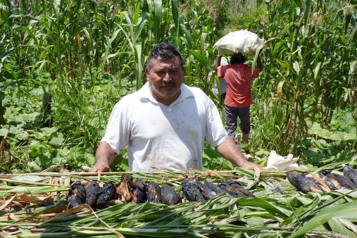 Pedro Uc is a poet, campesino and defender of his territory. Photo taken from his Facebook page.