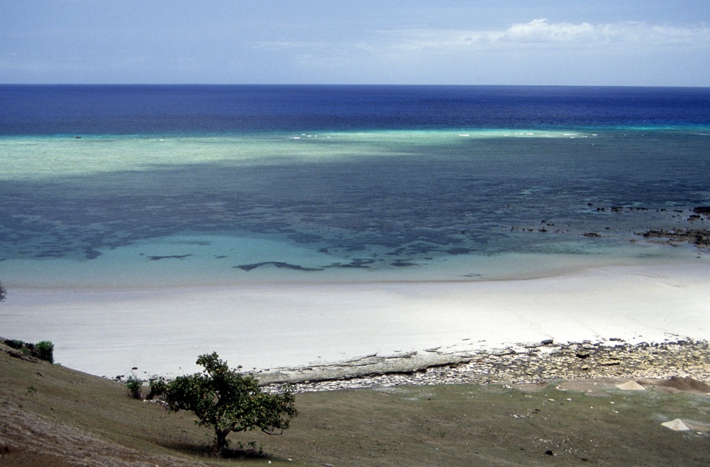 Coral reef in Comoros.