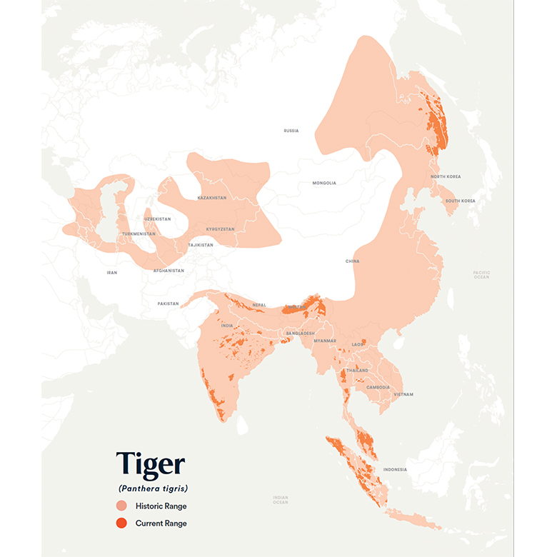 1. Tigers are now gone from 93% of their former range. Image courtesy of Panthera.