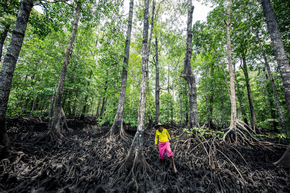 A local belonging to a crab fishing cooperative in Kei Kecil, an eastern Indonesian MPA not included in the study, searches for crabs near his home. Image by James Morgan for WWF.