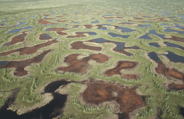 Could an Indigenous conservation area in Hudson Bay be key to saving  peatlands?