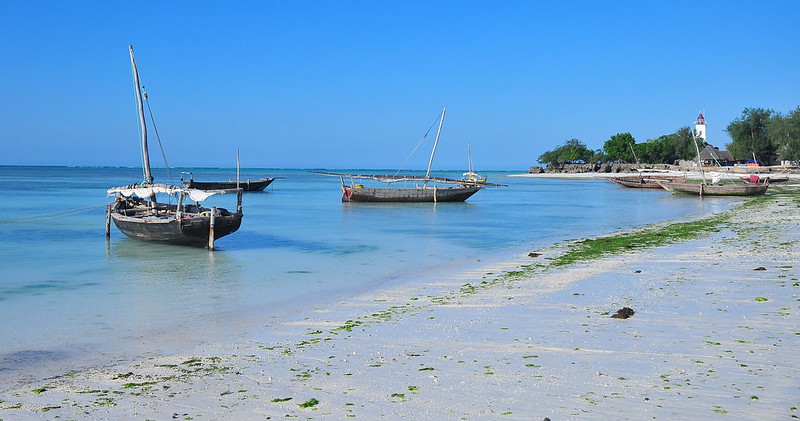 Coast of Zanzibar.