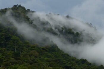 View of the Nangaritza valley from near Las Orquideas. Photo by Andrew Neil via Flickr (CC BY-NC-ND 2.0).