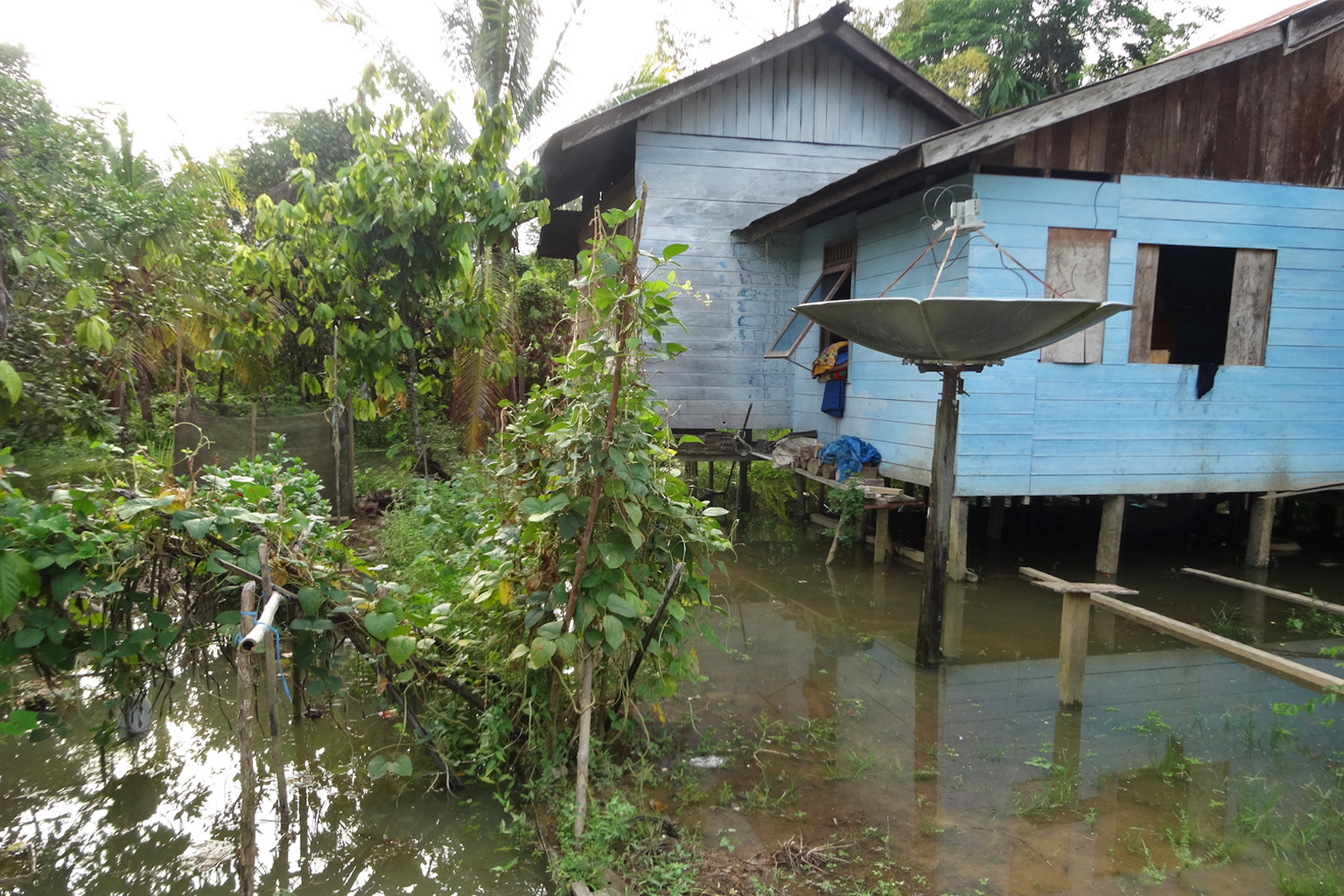 A family home and their swidden garden in Hongoi during 2018 flooding.