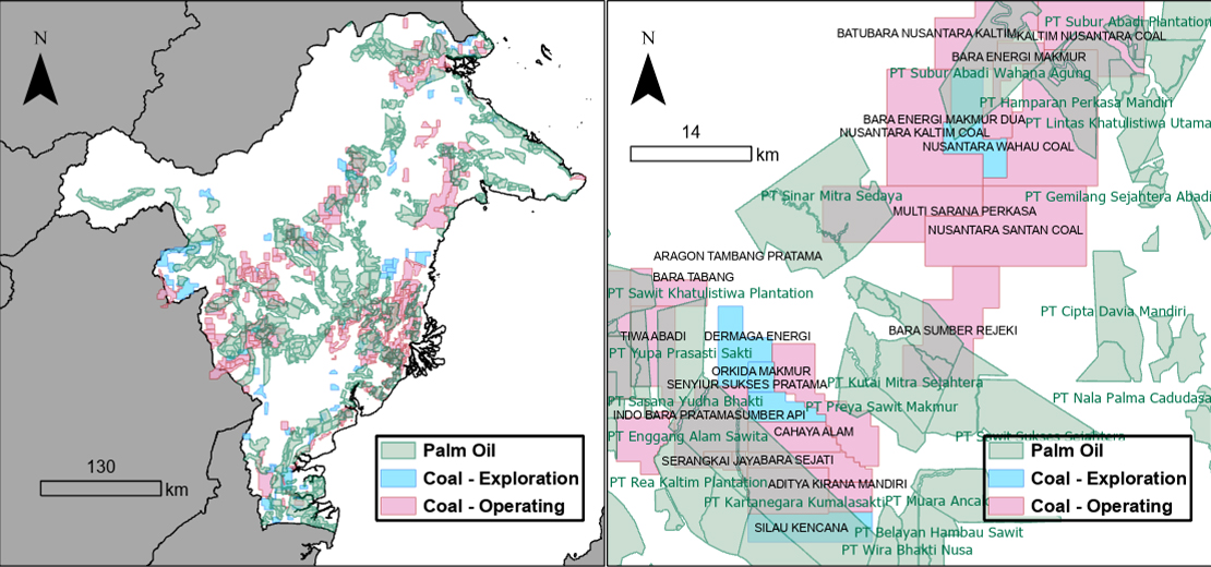 Map of overlapping oil palm and coal mining concessions in East Kalimantan