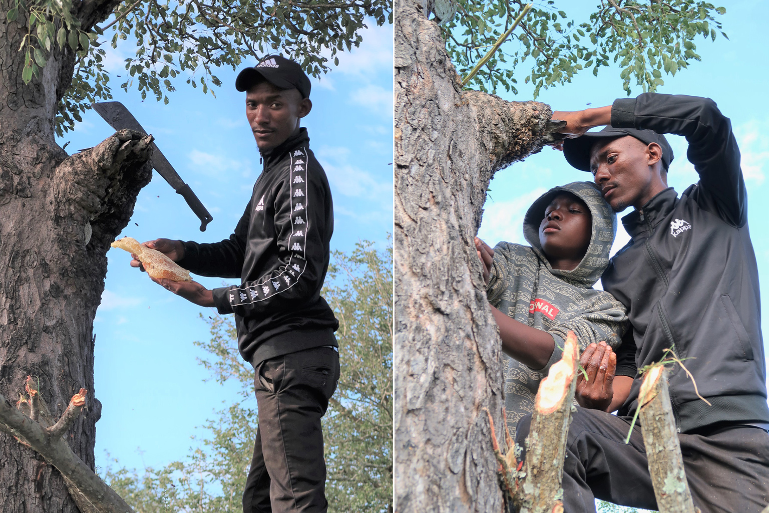 Gcina Dlamini gathers honey with his nephew