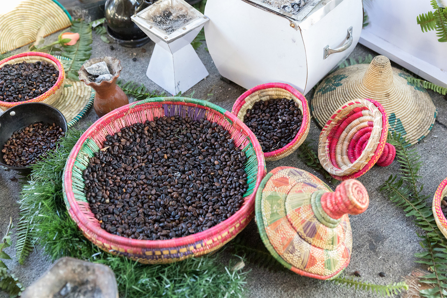 The traditional coffee management has been practiced for generations by the residents of Yayu, leading to the conservation of the genetic diversity of the forest’s wild arabica coffee.