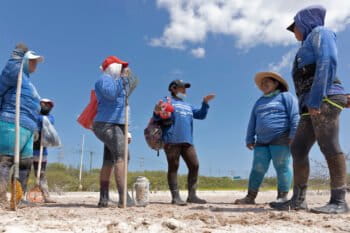 Members of Las Chelemeras consult with Keila Vazquez (in hat) before continuing their work.